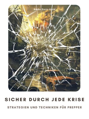 cover image of Sicher durch jede Krise